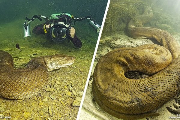 Misteri Laut